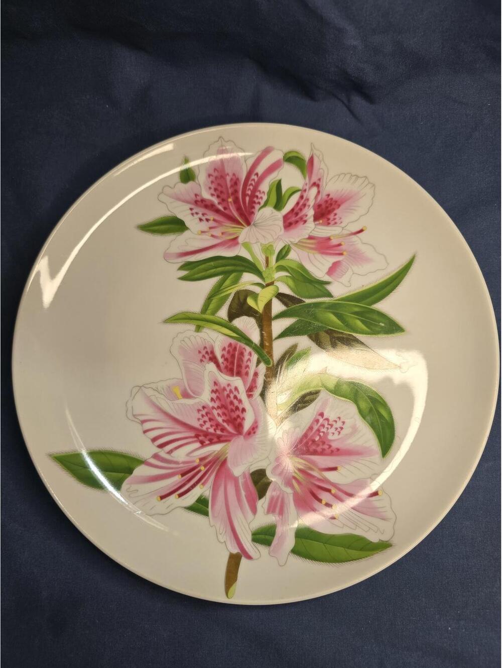 RARE! Vintage Haldon Group "Martinique" Floral Dinner Plate- 10 1/2"
